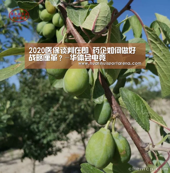 2020医保谈判在即 药企如何做好战略厘革?-华体会电竞(图2) 华体会真人