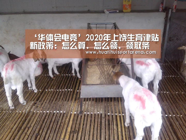 ‘华体会电竞’2020年上饶生育津贴新政策:怎么算、怎么领、领取条件(图3) 华体会APP
